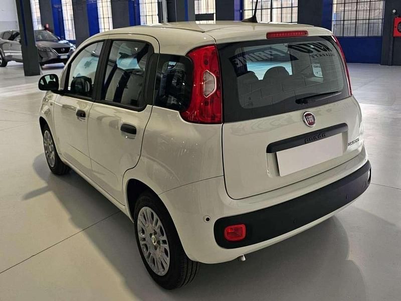 Nuova Fiat Panda Icon 69 CV (50 kW) 2025 Bianco Utilitaria