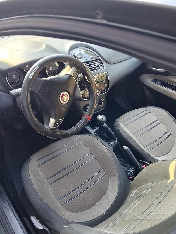 Usata Fiat Punto Evo 75 CV (55 kW) 2010 Verde Utilitaria