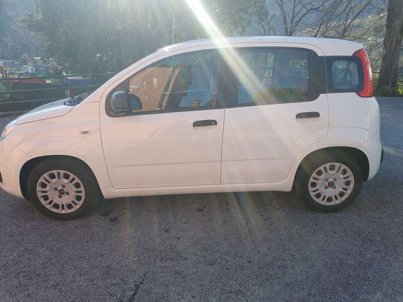 Usata Fiat Panda Easy 69 CV (50 kW) 2020 Bianco Utilitaria