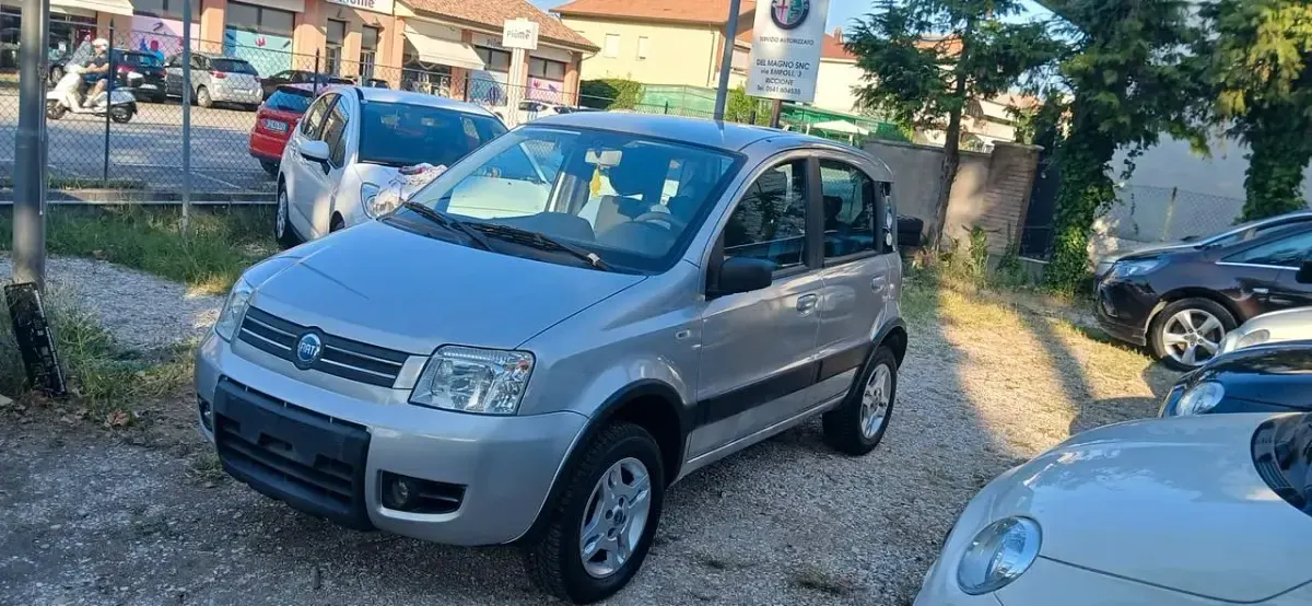 Usata Fiat Panda 4x4 Climbing 75 CV (55 kW) 2007 Argento Utilitaria