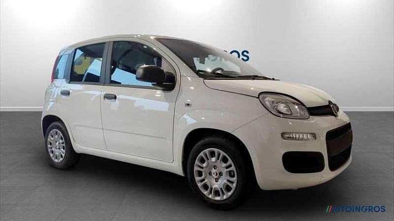 Nuova Fiat Panda Icon 69 CV (50 kW) 2026 Bianco gelato Utilitaria