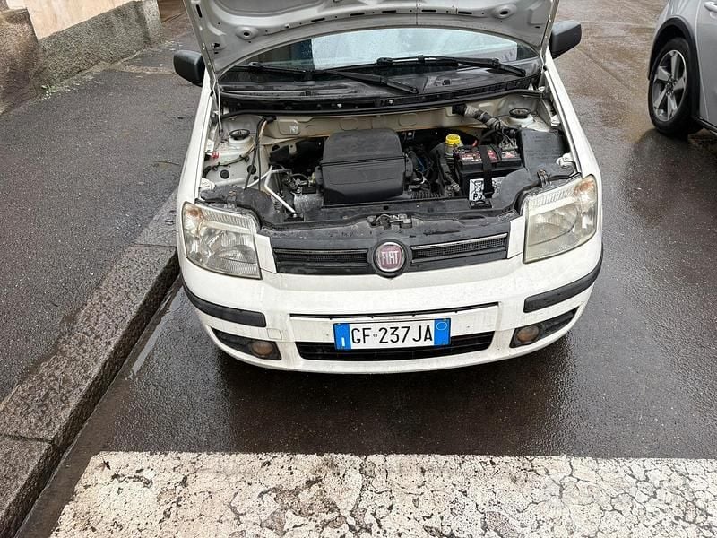 Usata Fiat Panda Dynamic 69 CV (50 kW) 2008 Bianco Utilitaria