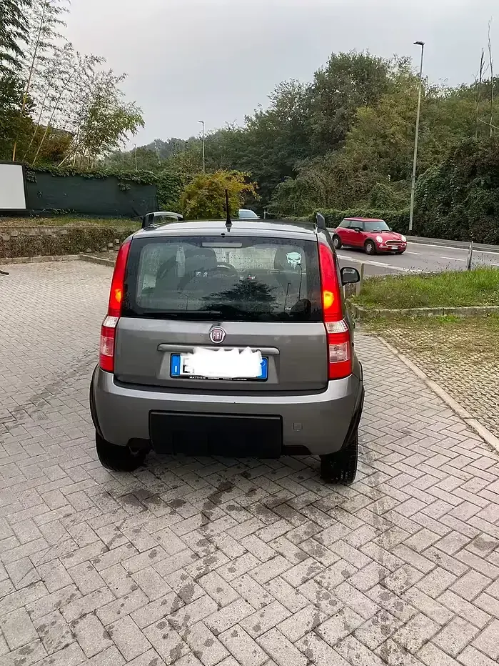Usata Fiat Panda 4x4 69 CV (50 kW) 2010 Grigio Utilitaria