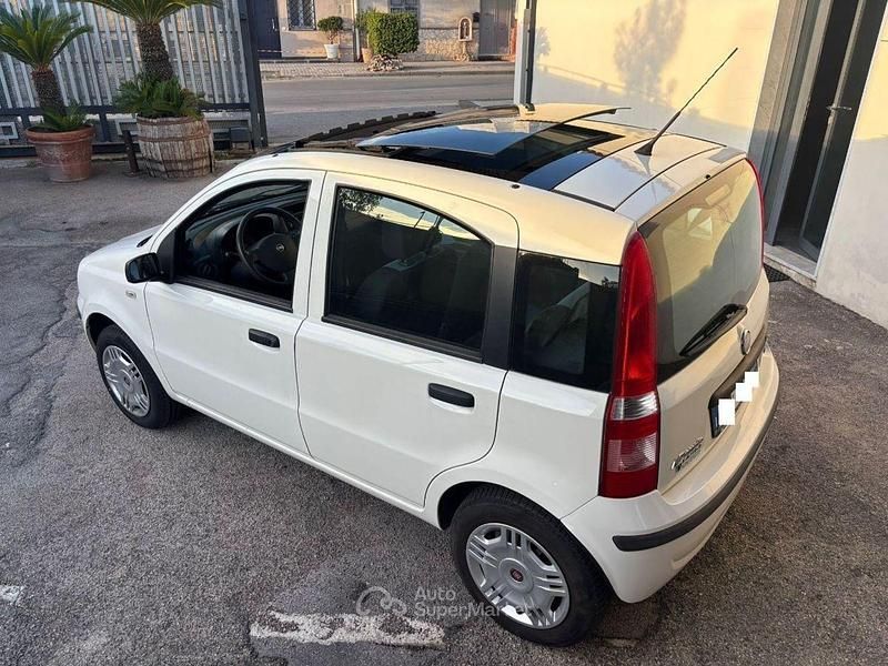 Usata Fiat Panda Dynamic 60 CV (44 kW) 2007 Bianco Utilitaria
