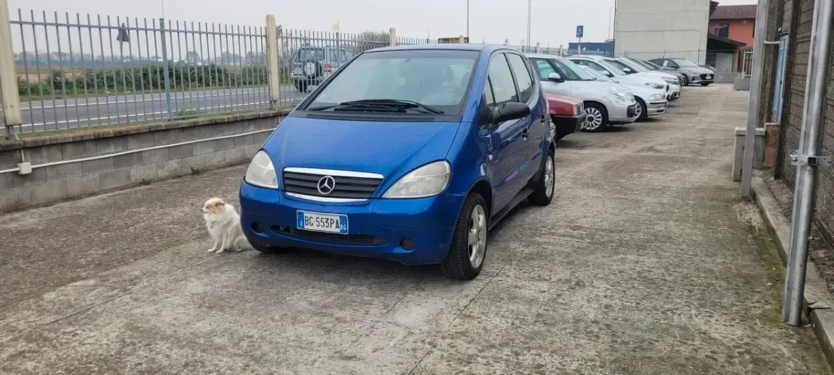 Usata Mercedes A160 Avantgarde 102 CV (75 kW) 2000 Blu Berlina