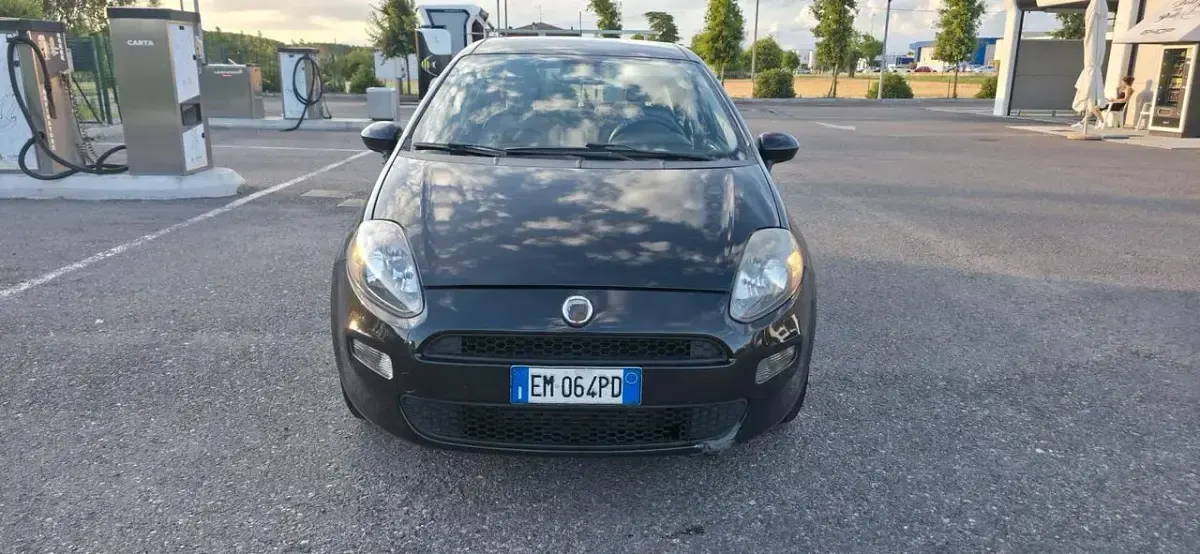 Usata Fiat Punto Easy 95 CV (69 kW) 2012 Utilitaria