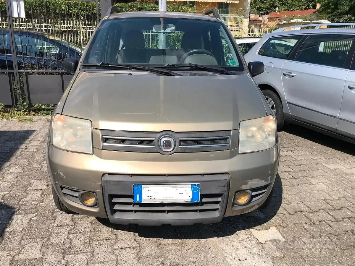 Usata Fiat Panda 4x4 Climbing 69 CV (50 kW) 2008 Marrone Utilitaria