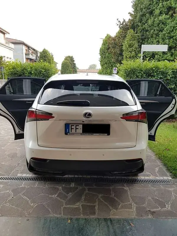 Usata Lexus NX300h Sport Line 197 CV (144 kW) 2016 SUV