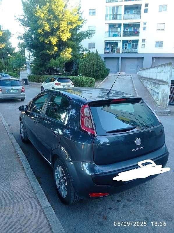 Usata Fiat Punto Active 69 CV (50 kW) 2011 Utilitaria