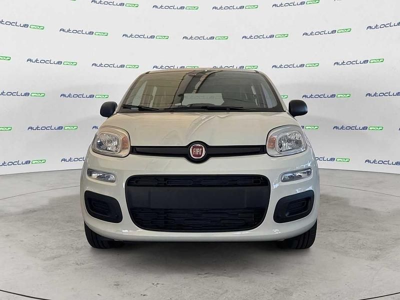 Nuova Fiat Panda Icon 69 CV (50 kW) 2025 Bianco Utilitaria
