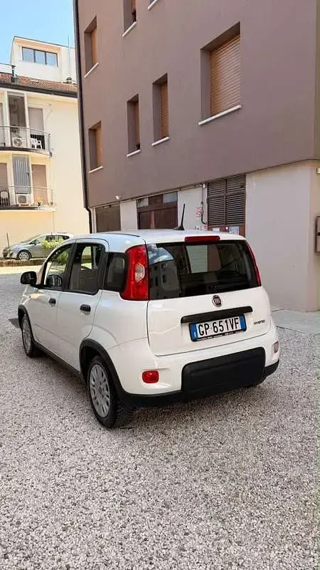 Usata Fiat Panda S 69 CV (50 kW) 2023 Utilitaria