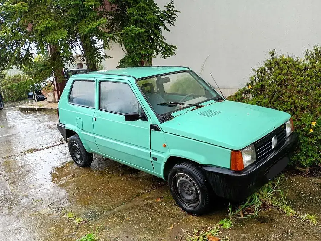 Usata Fiat Panda Young 54 CV (39 kW) 2003 Verde Utilitaria