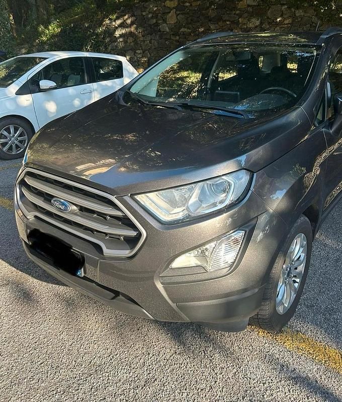 Usata Ford Ecosport Titanium 100 CV (73 kW) 2019 Grigio SUV