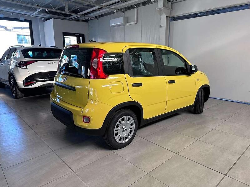 Nuova Fiat Panda Pop 69 CV (50 kW) 2026 Bianco gelato / vari colori Utilitaria