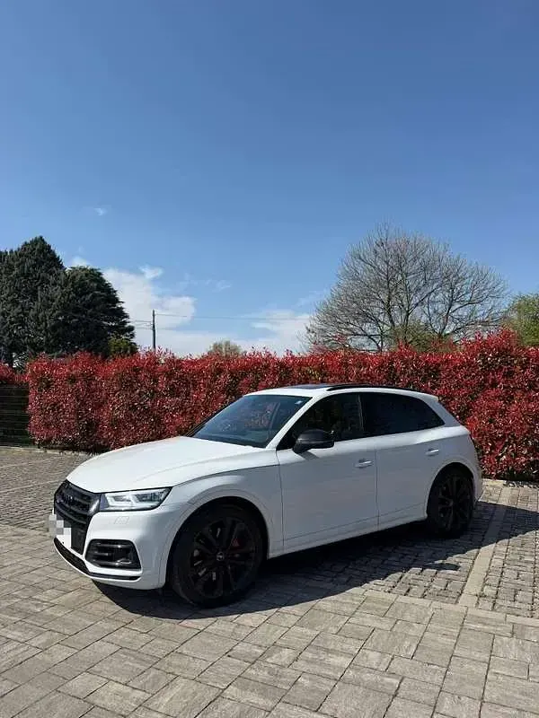 Usata Audi SQ5 340 CV (250 kW) 2019 SUV