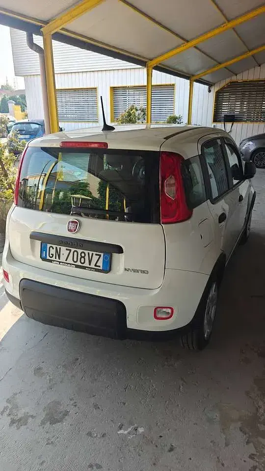 Usata Fiat Panda S 69 CV (50 kW) 2023 Bianco Utilitaria
