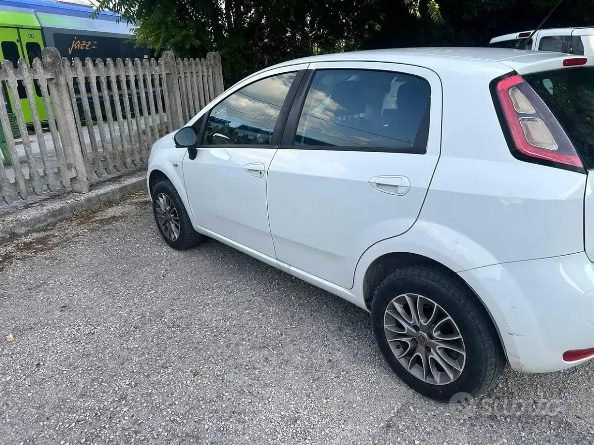 Usata Fiat Punto 77 CV (56 kW) 2012 Bianco Utilitaria