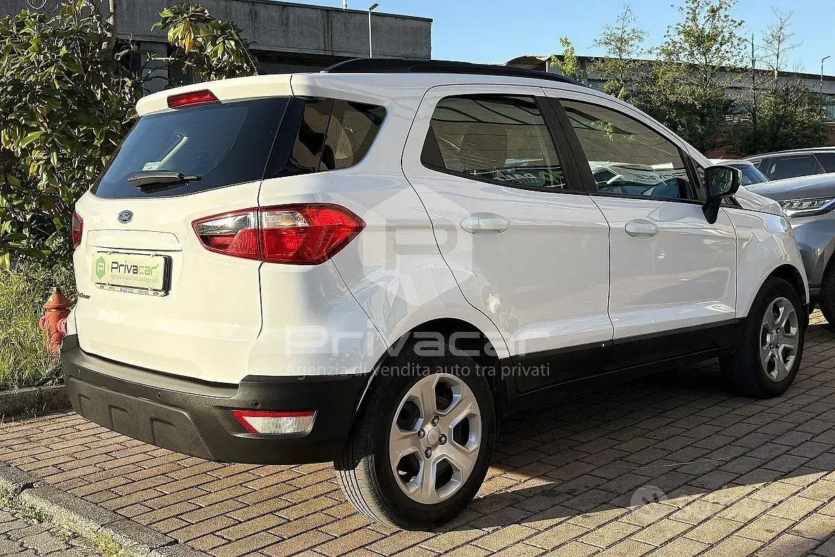 Usata Ford Ecosport 99 CV (72 kW) 2019 Bianco SUV