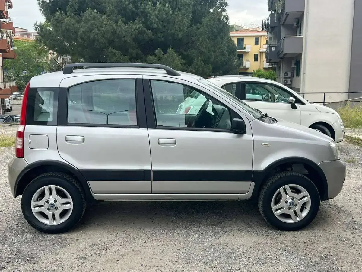 Usata Fiat Panda 4x4 Climbing 69 CV (50 kW) 2005 Grigio Utilitaria