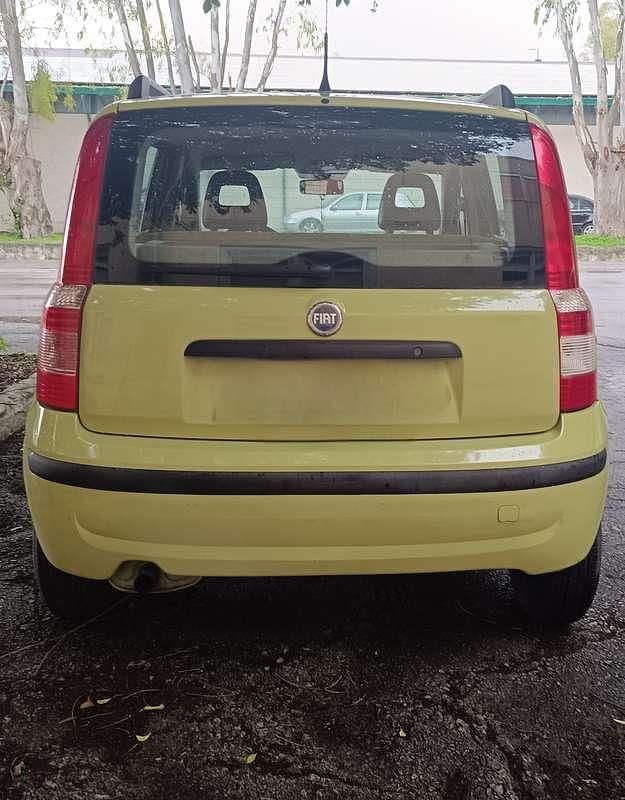 Usata Fiat Panda Dynamic 69 CV (50 kW) 2006 Verde Utilitaria