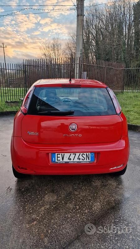 Usata Fiat Punto Lounge 78 CV (57 kW) 2014 Rosso Utilitaria