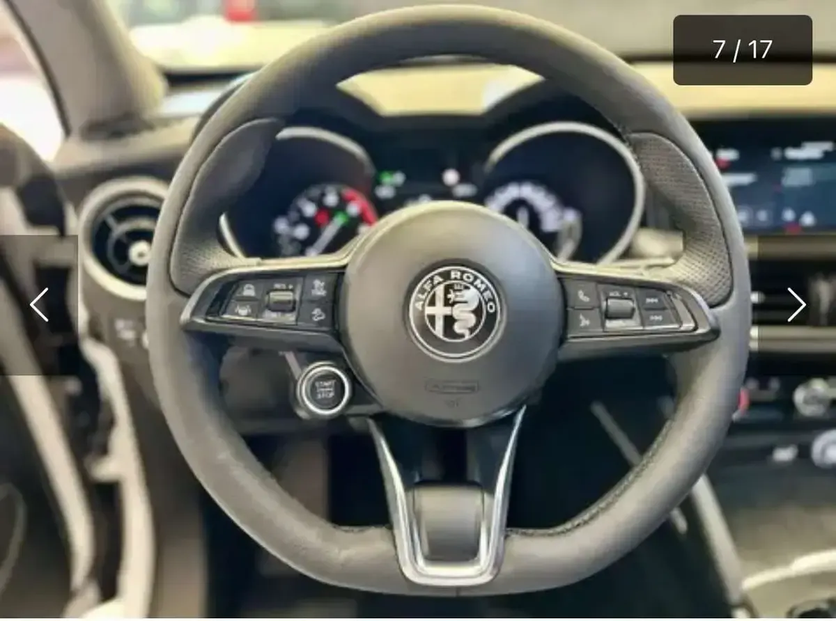 Usata Alfa Romeo Stelvio Business 160 CV (117 kW) 2020 Other SUV