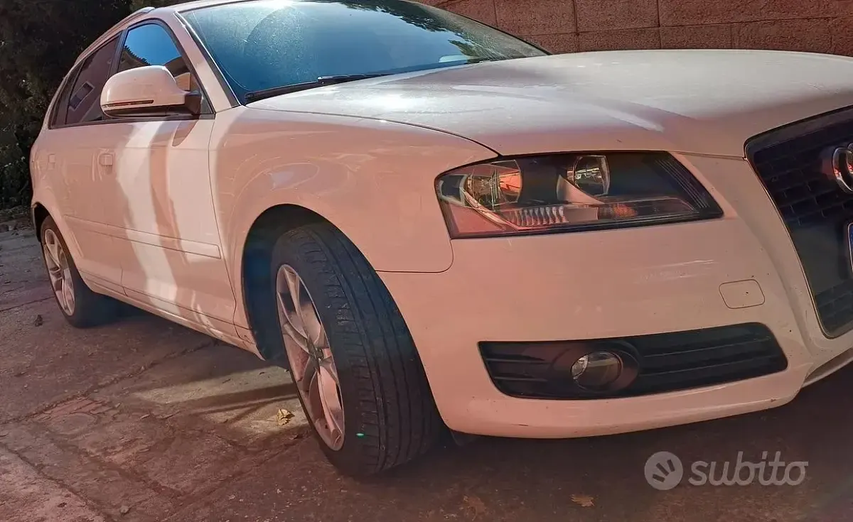 Usata Audi A3 105 CV (77 kW) 2009 Bianco Utilitaria