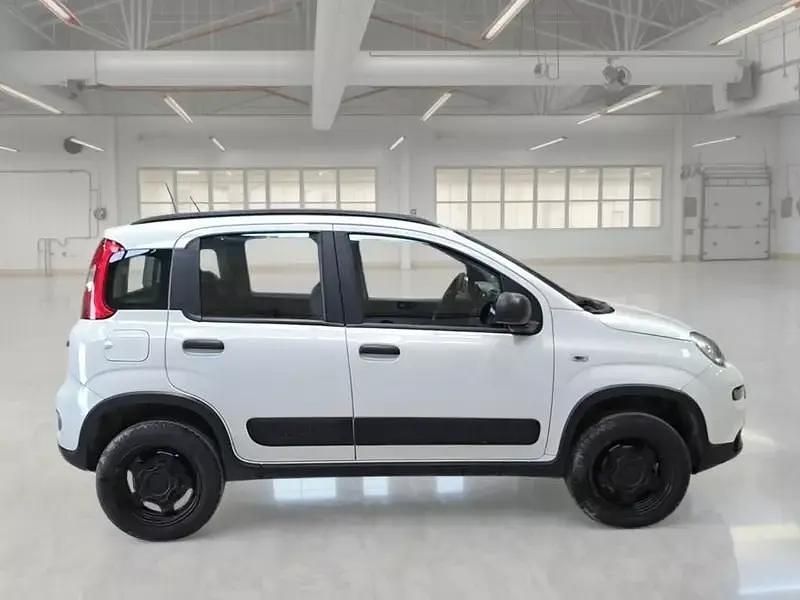 Usata Fiat Panda 4x4 Wild 85 CV (62 kW) 2022 Utilitaria