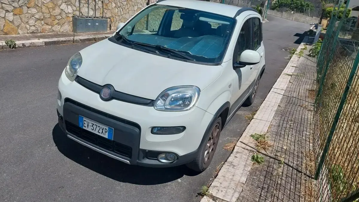 Usata Fiat Panda 4x4 S 75 CV (55 kW) 2014 Bianco Utilitaria