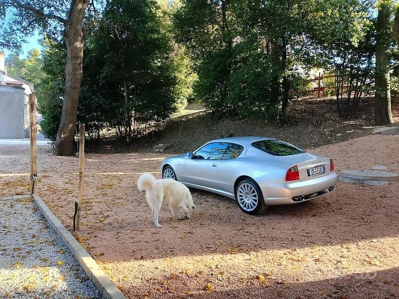 Usata Maserati Coupé 390 CV (286 kW) 2003 Grigio Coupé