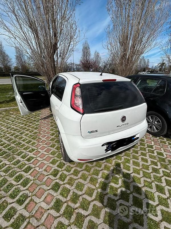 Usata Fiat Punto 78 CV (57 kW) 2015 Bianco Utilitaria