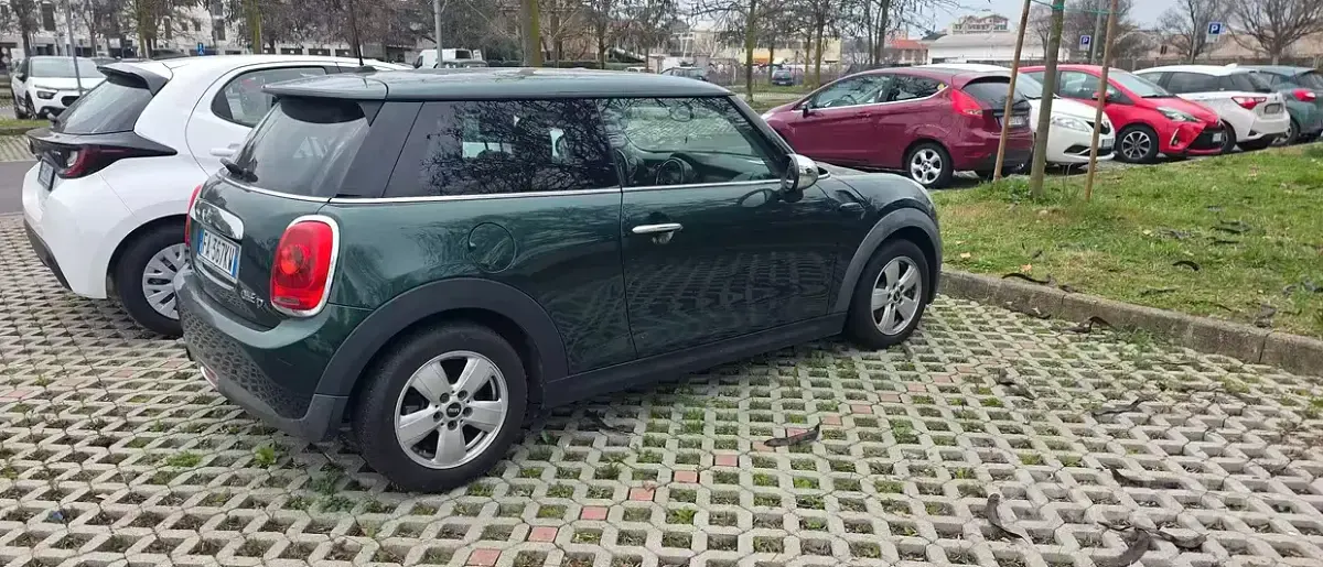 Usata Mini Cooper Coupé 95 CV (69 kW) 2015 Verde Coupé
