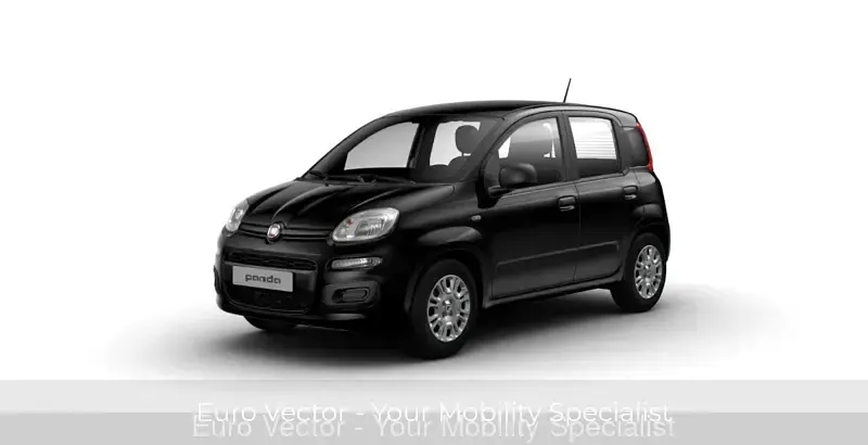 Usata Fiat Panda Icon 70 CV (51 kW) 2024 Utilitaria
