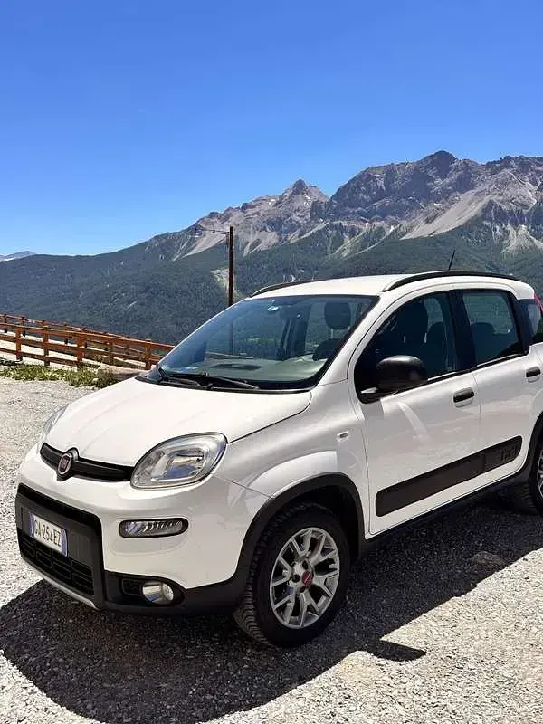 Usata Fiat Panda Cross Cross 90 CV (66 kW) 2020 Utilitaria