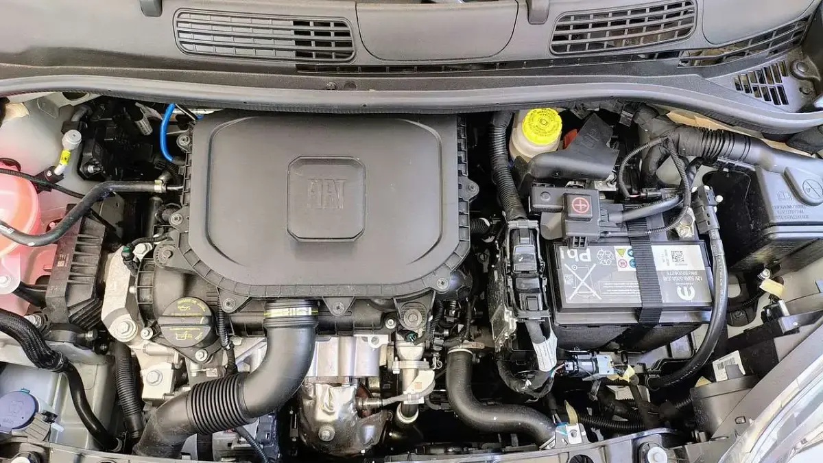 Nuova Fiat Panda Icon 69 CV (50 kW) 2025 Bianco Utilitaria