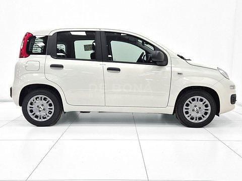 Nuova Fiat Panda Icon 65 CV (47 kW) 2026 Bianco Utilitaria