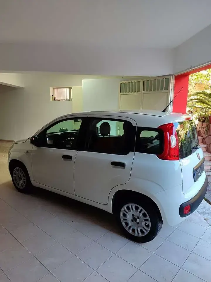Usata Fiat Panda Easy 69 CV (50 kW) 2016 Other Utilitaria