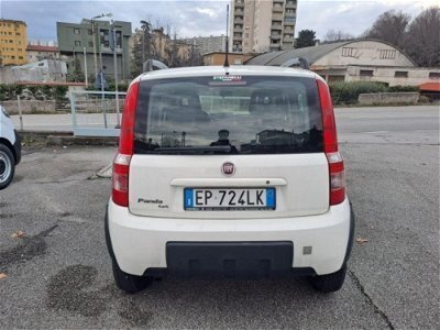 Usato 2012 Fiat Panda 4x4 1.3 Diesel 75 CV (10.900 €)