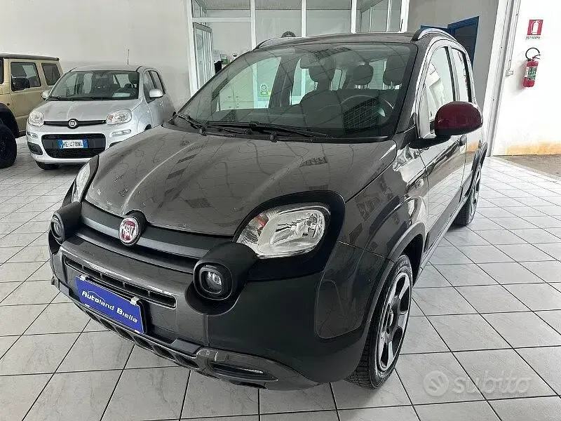Usata Fiat Panda Cross Cross 69 CV (50 kW) 2023 Grigio Utilitaria