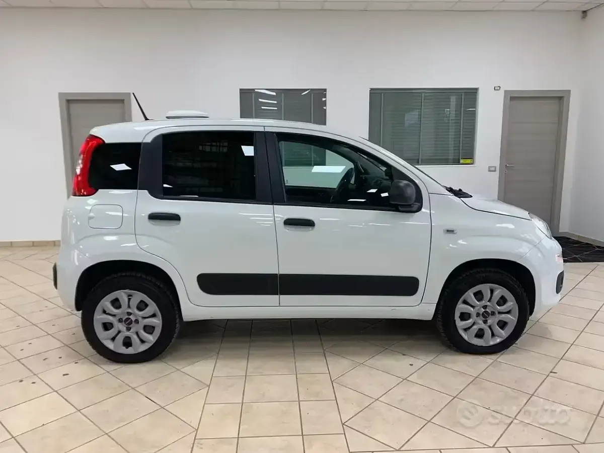 Usata Fiat Panda 4x4 S 86 CV (63 kW) 2020 Bianco Utilitaria