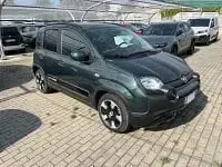 Usata Fiat Panda Cross Cross 69 CV (50 kW) 2025 Verde Utilitaria