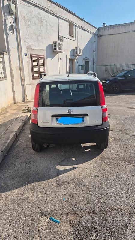 Usata Fiat Panda 2009 Bianco Utilitaria