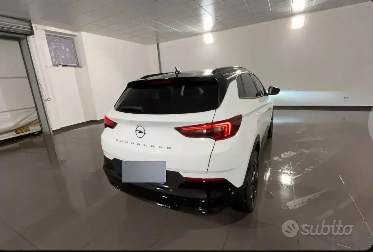 Usata Opel Grandland X 131 CV (96 kW) 2024 Bianco SUV