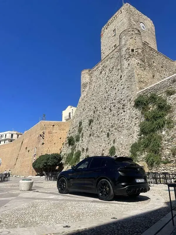 Usata Alfa Romeo Stelvio Business 190 CV (139 kW) 2017 SUV
