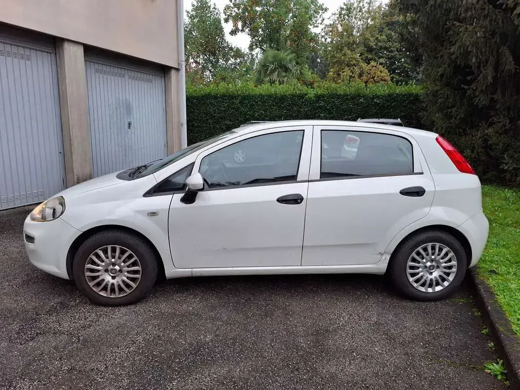 Usata Fiat Punto Young 69 CV (50 kW) 2016 Bianco Utilitaria