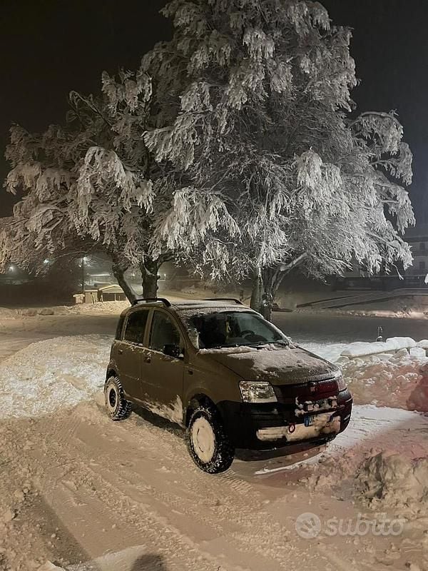 Usata Fiat Panda 4x4 2006 Utilitaria