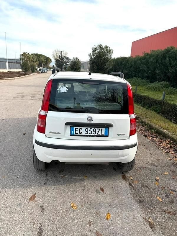 Usata Fiat Panda Dynamic 77 CV (56 kW) 2011 Bianco Berlina