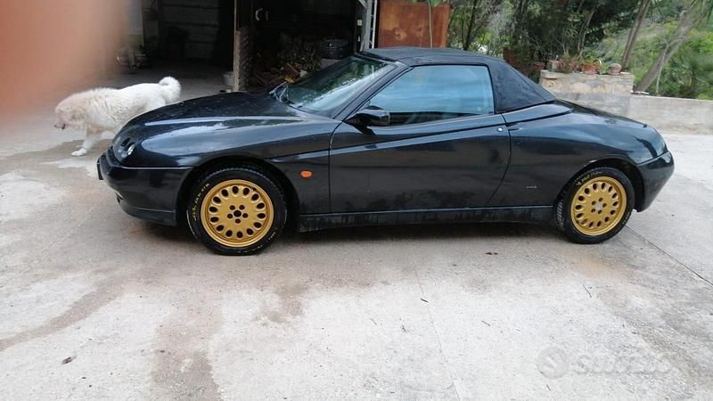 Usata Alfa Romeo GTV 150 CV (110 kW) 1995 Nero Coupé