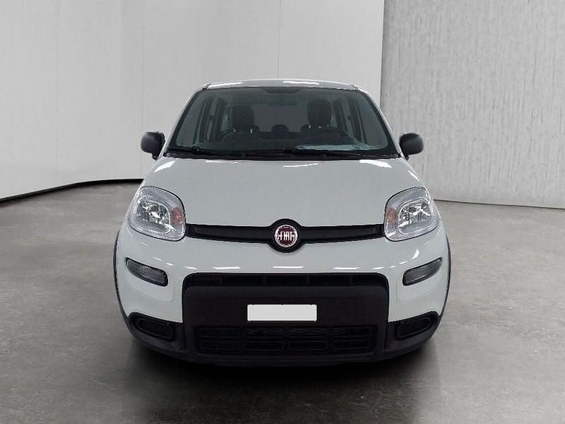 Usata Fiat Panda S 70 CV (51 kW) 2023 Bianco Utilitaria