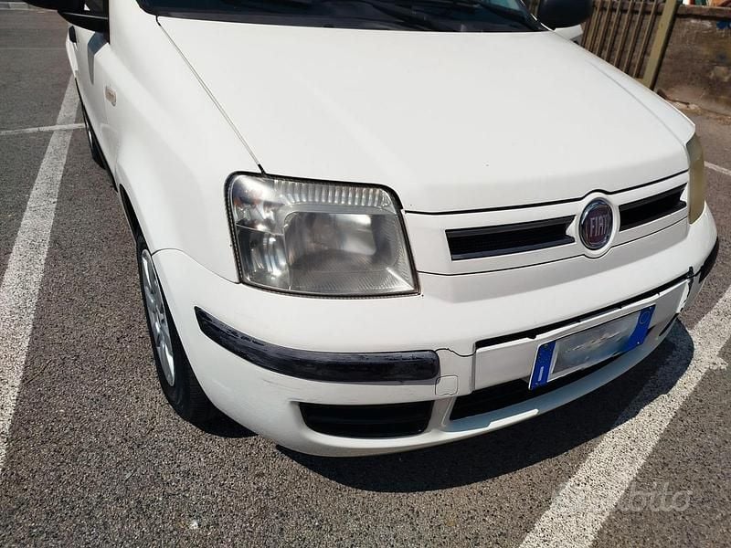 Usata Fiat Panda 60 CV (44 kW) 2010 Bianco Utilitaria